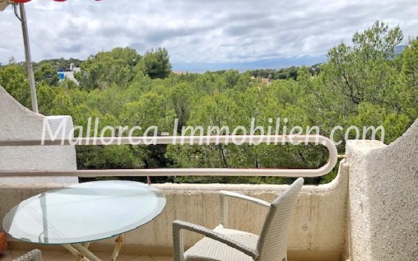 Baleagra Mallorca Immobilien Häuser Wohnungen Ferienwohnung Villa am Meer finca ocean view mieten kaufen compra casa, mallorca inmobiliaria