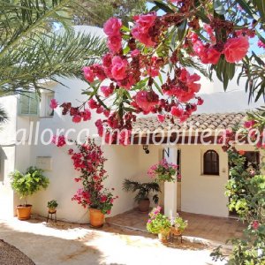 Variety of real estate in the southeast of Mallorca