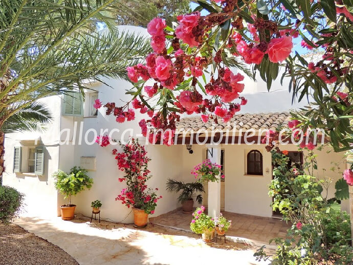 Baleagra Mallorca Immobilien Häuser Wohnungen Ferienwohnung Villa am Meer ocean view mieten kaufen