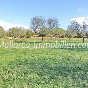 Plots in the south east of Mallorca