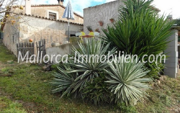 Baleagra Mallorca Immobilien Häuser Wohnungen Ferienwohnung Villa am Meer ocean view mieten kaufen