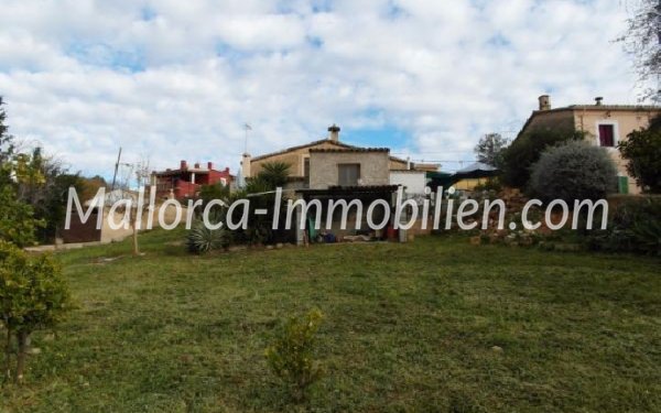 Baleagra Mallorca Immobilien Häuser Wohnungen Ferienwohnung Villa am Meer ocean view mieten kaufen