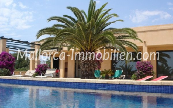 Baleagra Mallorca Immobilien Häuser Wohnungen Ferienwohnung Villa am Meer ocean view mieten kaufen